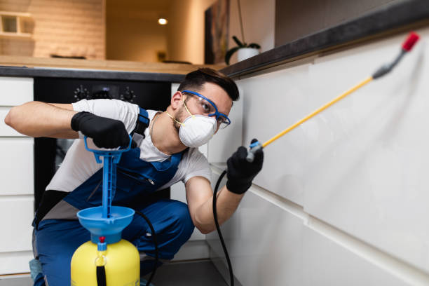 Best Pest Removal Services  in St Martins, MO