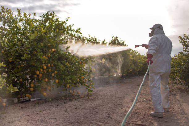 Reliable St Martins, MO Pest Control Solutions